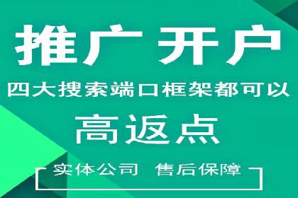 SEM代理实战：案例解析，效果惊人