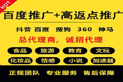 某行业巨头如何利用百度推广服务费提升业绩