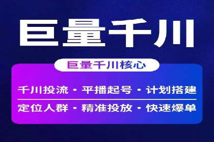 百度推广中的创意策略：成功案例解析与启示